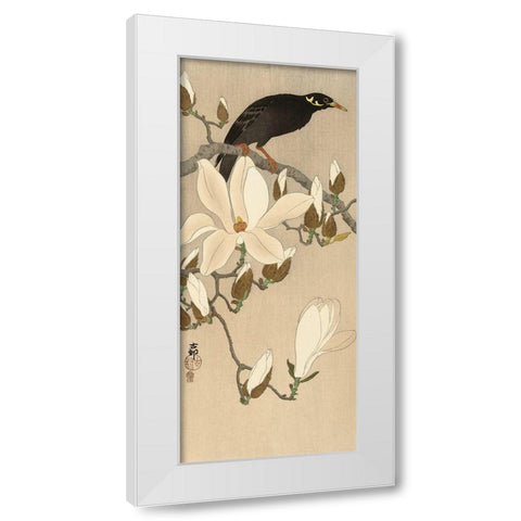 Myna on Magnolia Branch, 1900-1910 White Modern Wood Framed Art Print by Koson, Ohara