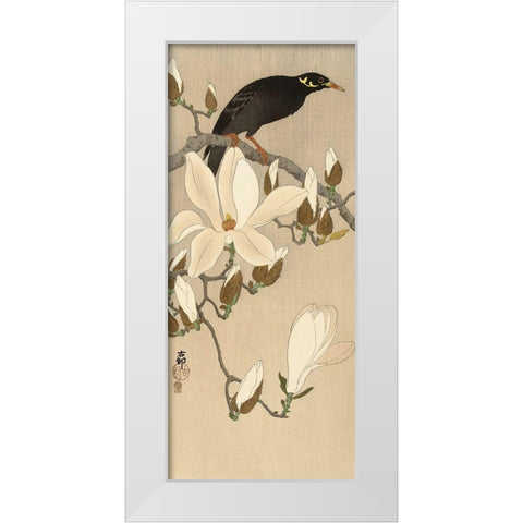 Myna on Magnolia Branch, 1900-1910 White Modern Wood Framed Art Print by Koson, Ohara
