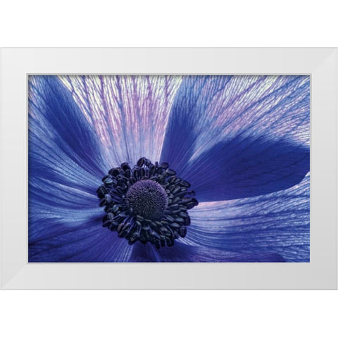 Windsong White Modern Wood Framed Art Print by LeBlanc, Dawn