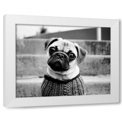 Cleo White Modern Wood Framed Art Print by Levin, Kim