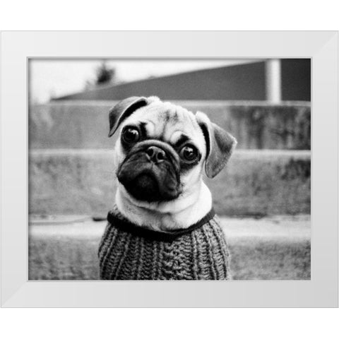 Cleo White Modern Wood Framed Art Print by Levin, Kim