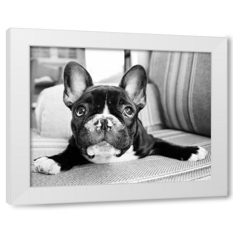 Hugo White Modern Wood Framed Art Print by Levin, Kim