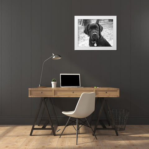 Zoey White Modern Wood Framed Art Print by Levin, Kim