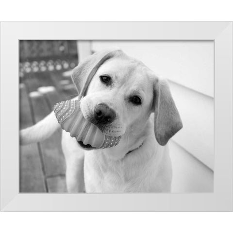 Blue White Modern Wood Framed Art Print by Levin, Kim