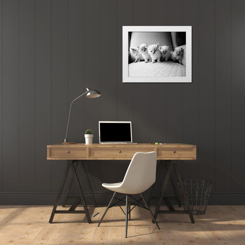 Five Kittens White Modern Wood Framed Art Print by Levin, Kim