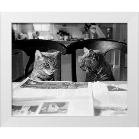 Not While Im Reading White Modern Wood Framed Art Print by Levin, Kim