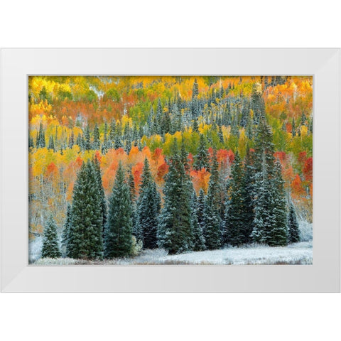 Christmas Trees White Modern Wood Framed Art Print by Leacock, J.C.