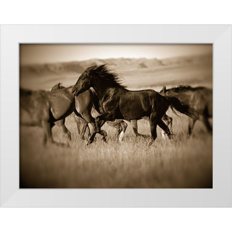 Dark Horse White Modern Wood Framed Art Print by Leacock, J.C.