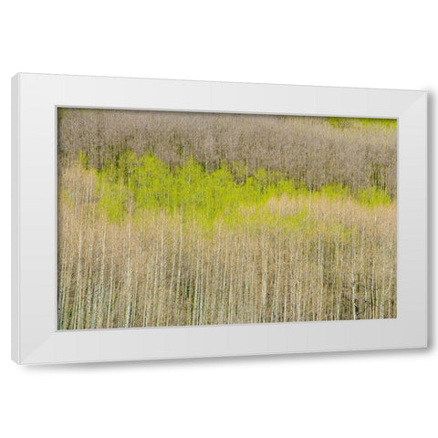 Emergence White Modern Wood Framed Art Print by Leacock, J.C.