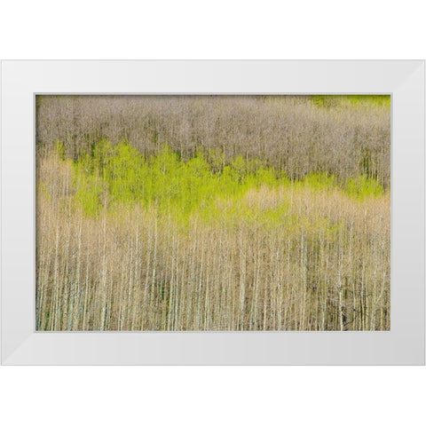 Emergence White Modern Wood Framed Art Print by Leacock, J.C.
