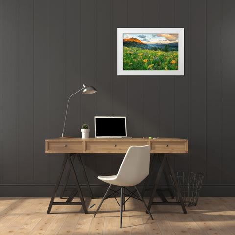 Wash Gulch Wild White Modern Wood Framed Art Print by Leacock, J.C.