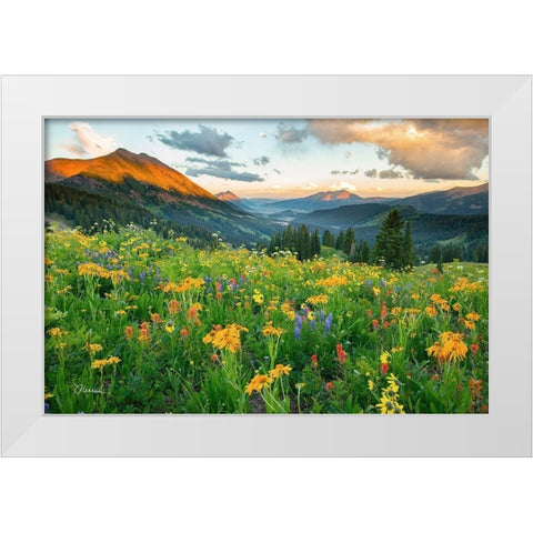 Wash Gulch Wild White Modern Wood Framed Art Print by Leacock, J.C.