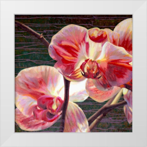 Show Offs White Modern Wood Framed Art Print by McLaughlin, Jan