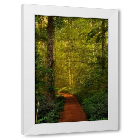 Fairytale Path White Modern Wood Framed Art Print by Mikaels, Natalie