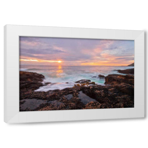Natures Palette White Modern Wood Framed Art Print by Mikaels, Natalie