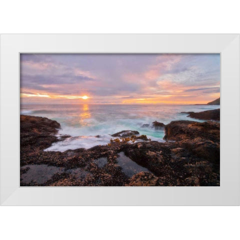 Natures Palette White Modern Wood Framed Art Print by Mikaels, Natalie