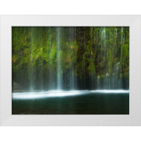 Paradise White Modern Wood Framed Art Print by Mikaels, Natalie