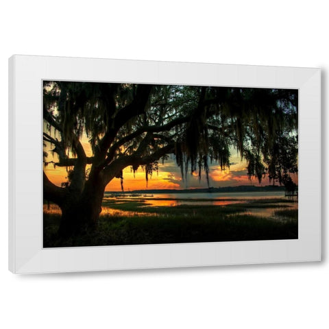 Savannah Evening White Modern Wood Framed Art Print by Mikaels, Natalie
