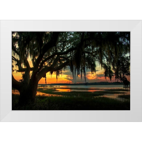 Savannah Evening White Modern Wood Framed Art Print by Mikaels, Natalie