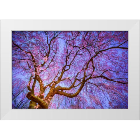 Weeping Cherry White Modern Wood Framed Art Print by Mikaels, Natalie