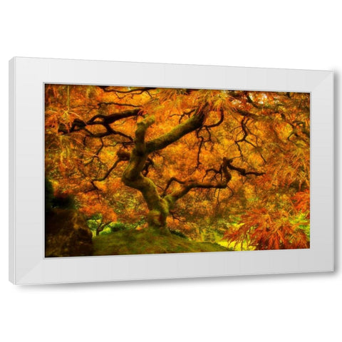 Wild Fire White Modern Wood Framed Art Print by Mikaels, Natalie