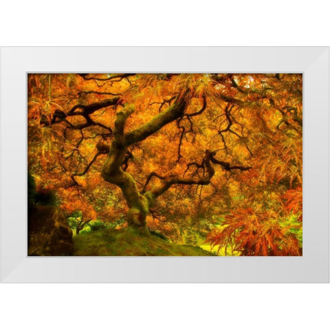 Wild Fire White Modern Wood Framed Art Print by Mikaels, Natalie