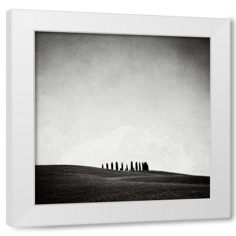 Hidden Forest White Modern Wood Framed Art Print by Morrissey, Margaret