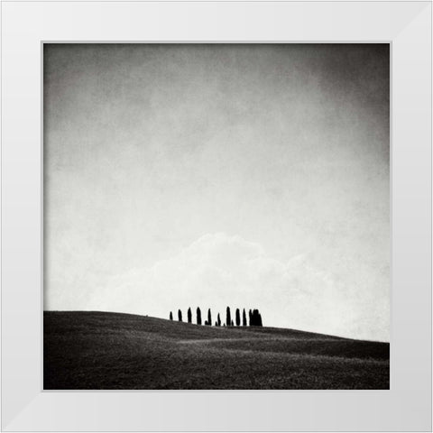 Hidden Forest White Modern Wood Framed Art Print by Morrissey, Margaret