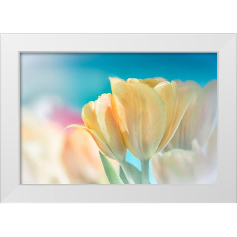 Magical White Modern Wood Framed Art Print by Marie, Dina