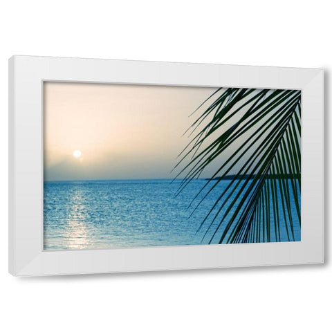 Palm White Modern Wood Framed Art Print by Marie, Dina