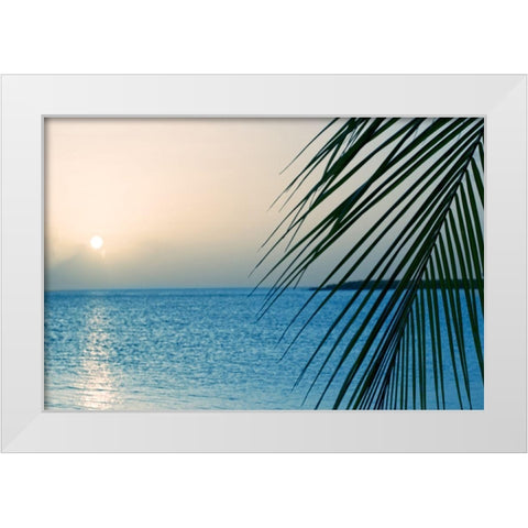 Palm White Modern Wood Framed Art Print by Marie, Dina