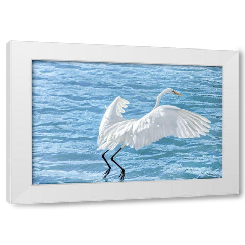 Taking Flight White Modern Wood Framed Art Print by Marie, Dina