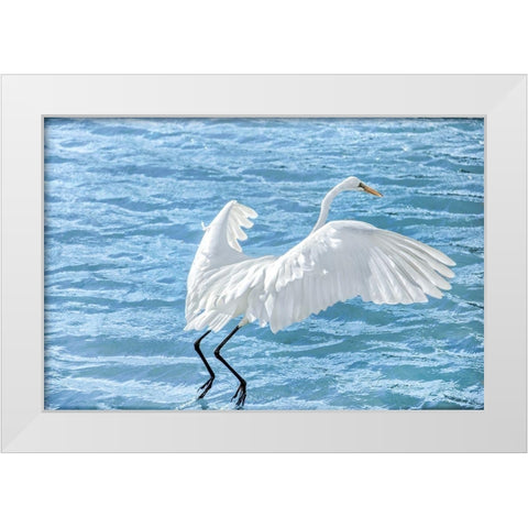 Taking Flight White Modern Wood Framed Art Print by Marie, Dina