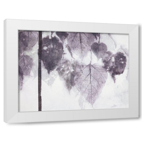 Catalpa White Modern Wood Framed Art Print by MacCollum, Cynthia