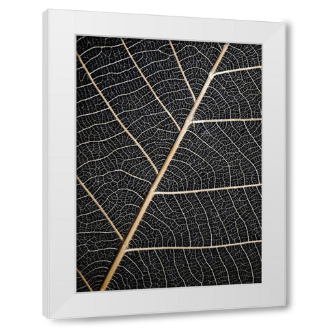 Leaf Veins White Modern Wood Framed Art Print by Design Fabrikken