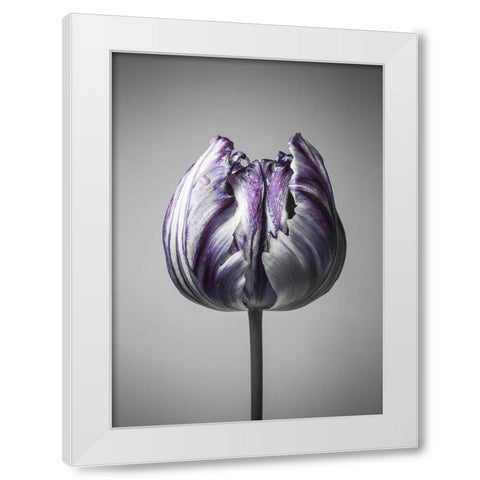 Baroque 5 White Modern Wood Framed Art Print by Design Fabrikken