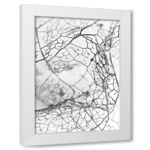 Leaf Skeleton BW White Modern Wood Framed Art Print by Design Fabrikken