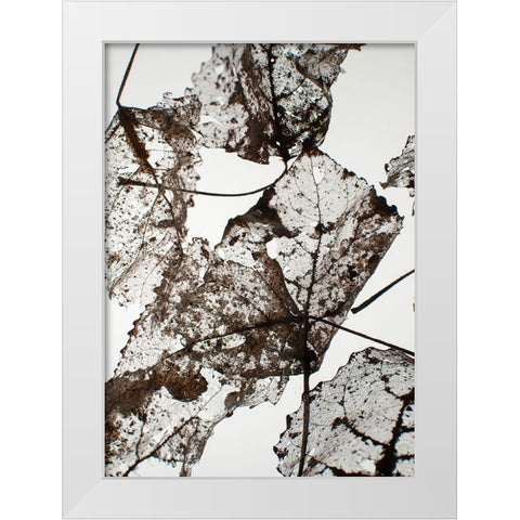Leaves White Modern Wood Framed Art Print by Design Fabrikken