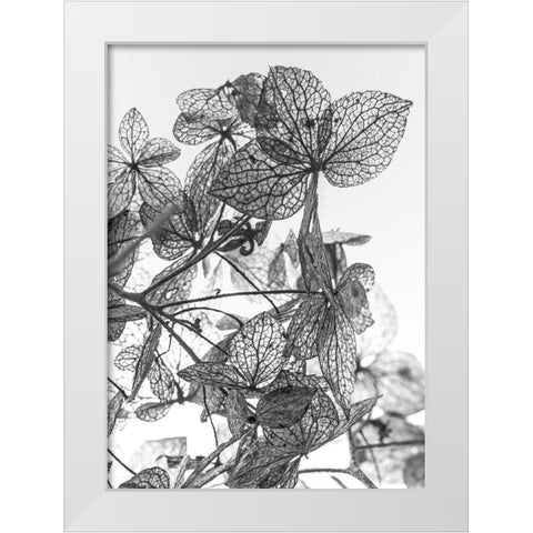 Leaf Composition White Modern Wood Framed Art Print by Design Fabrikken