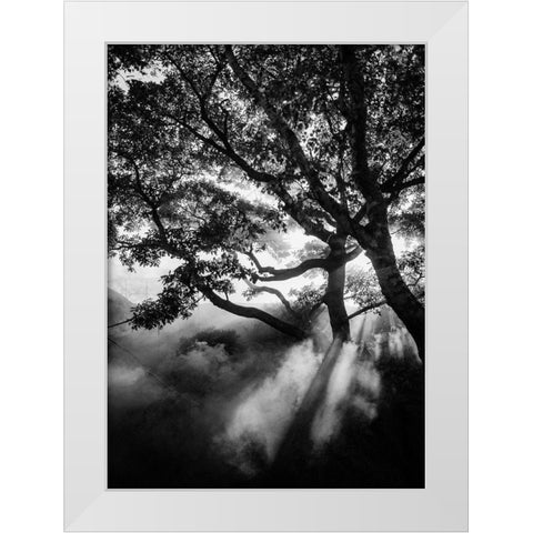 Misty Black White Modern Wood Framed Art Print by Design Fabrikken