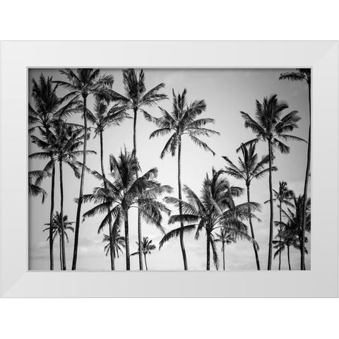 Palm Heaven White Modern Wood Framed Art Print by Design Fabrikken