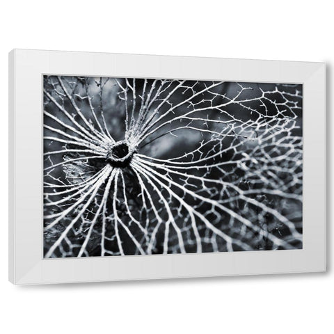 Winterspell White Modern Wood Framed Art Print by Design Fabrikken