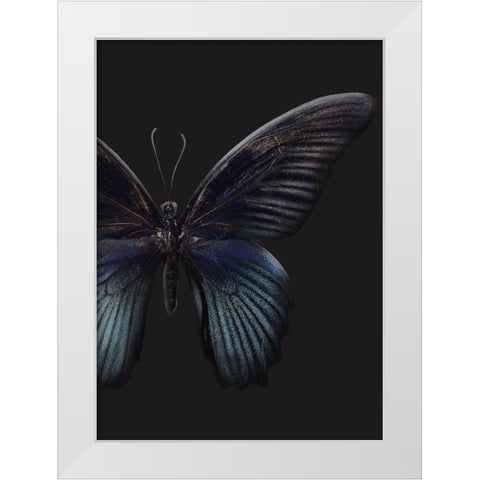 Black Butterfly on Grey White Modern Wood Framed Art Print by Design Fabrikken