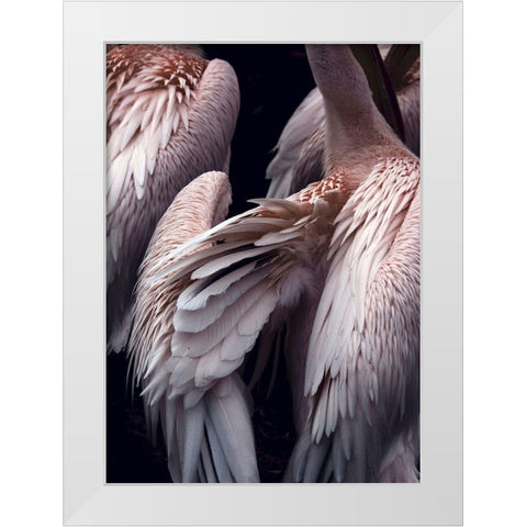 Flamboyance 1 White Modern Wood Framed Art Print by Design Fabrikken