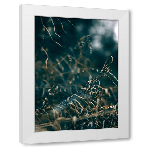 Secret 1 White Modern Wood Framed Art Print by Design Fabrikken