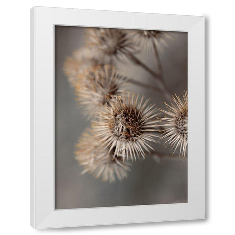 Avantgarde White Modern Wood Framed Art Print by Design Fabrikken