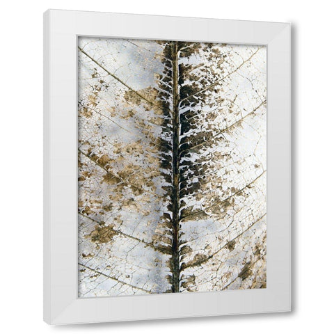 Close Up White Modern Wood Framed Art Print by Design Fabrikken