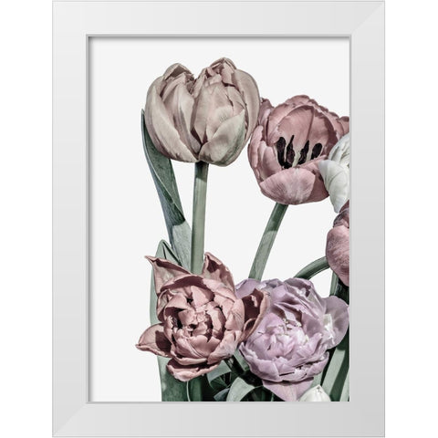 Tulips Bright 2 White Modern Wood Framed Art Print by Design Fabrikken