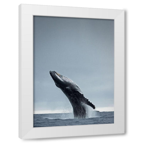 40 Ton White Modern Wood Framed Art Print by Design Fabrikken