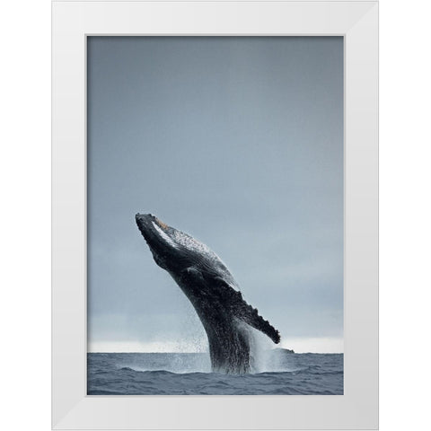 40 Ton White Modern Wood Framed Art Print by Design Fabrikken